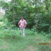 ���������� �����, ���� ������� �����, 58 ���, ������������ ��� ������, ����� � ���������, c�������� ���������