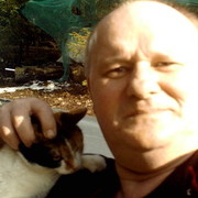 ���������� �����, ���� ������� ������, 60 ���, ������������ ��� ������, ����� � ���������, c�������� ���������