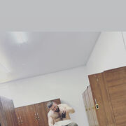 ���������� ������, ���� ������� ���, 40 ���, ������������ ��� ������, ����� � ���������