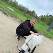 ���������� �����, ���� ������� �������, 32 ����, ������������ ��� ������, ����� � ���������