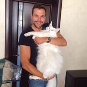 ���������� ������, ���� ������� �����, 37 ���, ������������ ��� c�������� ���������