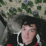  -,   , 29 ,   