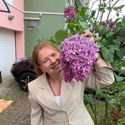 -,   , 61 ,     , c 