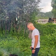 ���������� ����������, ���� ������� ������, 28 ���, ������������ ��� ������, ����� � ���������, c�������� ���������