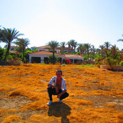  ,   David, 41 ,   ,   , c , 
