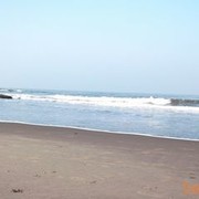  ,   Gu5557, 75 ,   