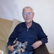 ,   , 66 ,   ,   