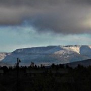 ���������� ����, ���� ������� �����, 39 ���, ������������ 