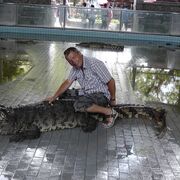 ���������� ������, ���� ������� ������, 61 ���, ������������ ��� ������, ����� � ���������, c�������� ���������