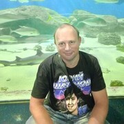  ,   , 36 ,   c , 