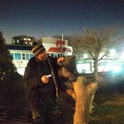 ���������� �����, ���� ������� ���������, 48 ���, ������������ ��� c�������� ���������, ���������