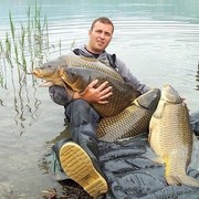  ,   , 41 ,   