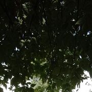  ,   , 37 ,   ,   