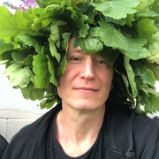 ���������� ��������, ���� ������� ���������, 45 ���, ������������ ��� ������, ����� � ���������, c�������� ���������