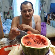  ,   , 51 ,   