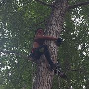 ���������� ����, ���� ����� �����, 21 ���, ������������ ��� ������, ����� � ���������, c�������� ���������