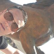 ���������� ������, ���� ������� �����, 40 ���, ������������ ��� ���������