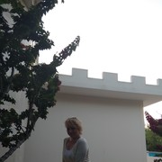  ,   , 46 ,   ,   , c 