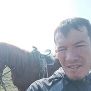 ���������� ������-��-����, ���� ������� ������, 41 ���, ������������ ��� c�������� ���������