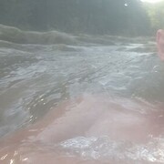 ���������� �����, ���� ������� �����, 37 ���, ������������ ��� c�������� ���������