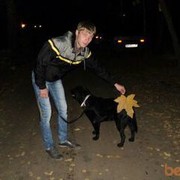 ���������� �������, ���� ������� �������, 44 ����, ������������ ��� ������, ����� � ���������, c�������� ���������