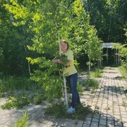 ���������� ������������, ���� ������� ���, 50 ���, ������������ ��� c�������� ���������