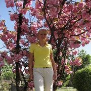  Bassano del Grappa,   Lilija, 42 ,     , c 