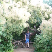 ���������� �����, ���� ������� �����, 47 ���, ������������ ��� ������, ����� � ���������, c�������� ���������, ���������