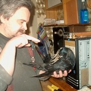 ���������� �������, ���� ������� �����, 60 ���, ������������ ��� ����� � ���������, c�������� ���������