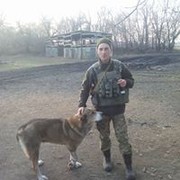  ,  Denis, 33