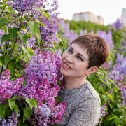   ,   LARA, 62 ,     , c , 