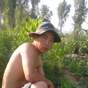 ���������� ��, ���� ������� ���������, 39 ���, ������������ ��� ���������