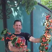  ,   , 55 ,   ,   