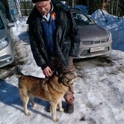 ���������� �����-���������, ���� ������� ����, 51 ���, ������������ ��� ������, ����� � ���������