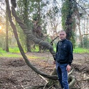 ���������� ������, ���� ������� ���������, 39 ���, ������������ ��� ������, ����� � ���������, c�������� ���������, ���������