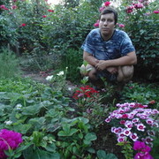  ,     , 41 ,     , c 