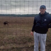 ���������� �����, ���� ������� ������, 41 ���, ������������ ��� ������, ����� � ���������