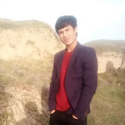 ���������� ������, ���� ������� Lion, 27 ���, ������������ ��� ����� � ���������, c�������� ���������