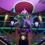 ���������� �����������, ���� ������� ���������, 33 ����, ������������ ��� ������, ����� � ���������, ���������