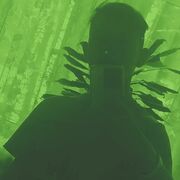 ���������� ������, ���� ����� �����, 20 ���, ������������ ��� ������, ����� � ���������