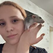   ,   , 19 ,   
