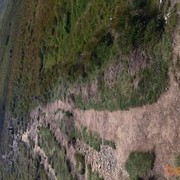 ���������� �����������, ���� ������� ����, 39 ���, ������������ 