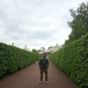 ���������� �����������, ���� ������� ������, 36 ���, ������������ ��� ������, ����� � ���������, c�������� ���������