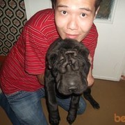 ���������� ������, ���� ������� ����, 36 ���, ������������ ��� ������, ����� � ���������, c�������� ���������