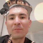 ���������� �����������, ���� ������� ���������, 43 ����, ������������ ��� ������, ����� � ���������