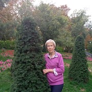  ,   , 73 ,  