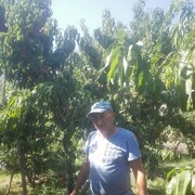 ���������� ������, ���� ������� ����, 59 ���, ������������ ��� ������, ����� � ���������