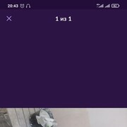  -,    , 44 ,   ,   