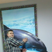 ���������� �����������, ���� ������� ��������, 62 ����, ������������ ��� ������, ����� � ���������, c�������� ���������