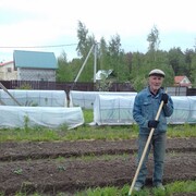 ���������� �����-���������, ���� ������� �������, 75 ���, ������������ ��� ������, ����� � ���������, c�������� ���������, ���������